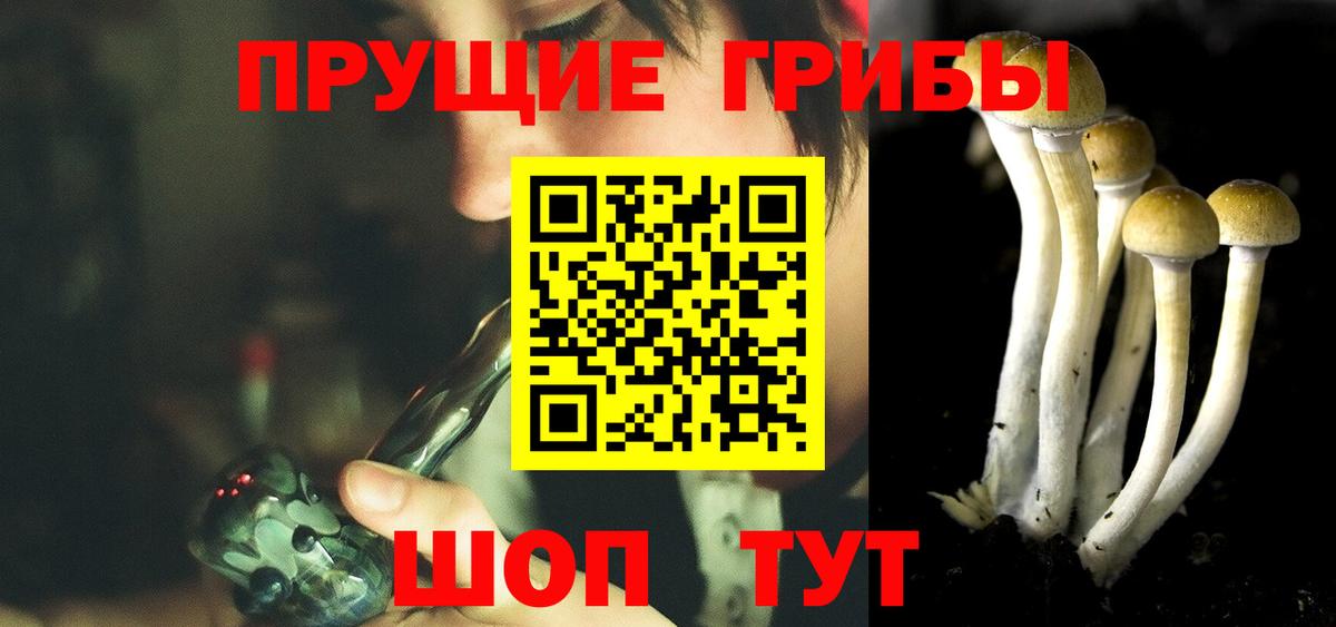 Соль-Илецк  Псилоцибиновые грибы мухоморы  Псилоцибиновые грибы Cubensis  Вход с VPN 